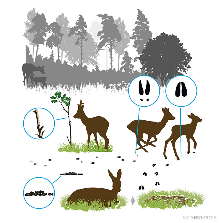 BUND Naturschutz - Trickkiste Natur