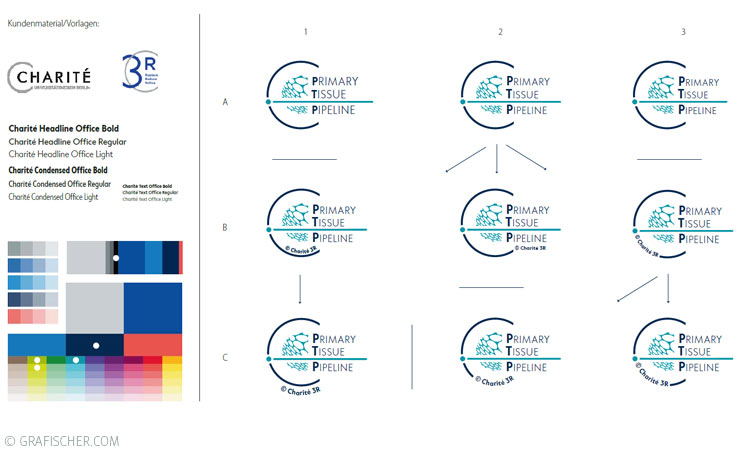 Logo-Entwicklung Primary Tissue Pipeline