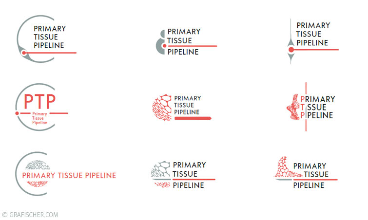Logo-Entwicklung Primary Tissue Pipeline
