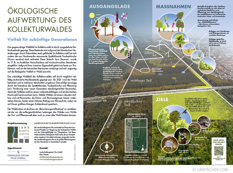 Landschafsagentur Plus, Schautafel Ökologischer Umbau des Kollekturwalds bei Mannheim